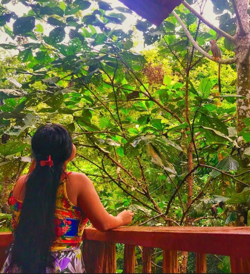 Casa Da Arvore, Sonho Na Amazonia, 2Min A Pe Da Praia ألتر دو تشاو المظهر الخارجي الصورة