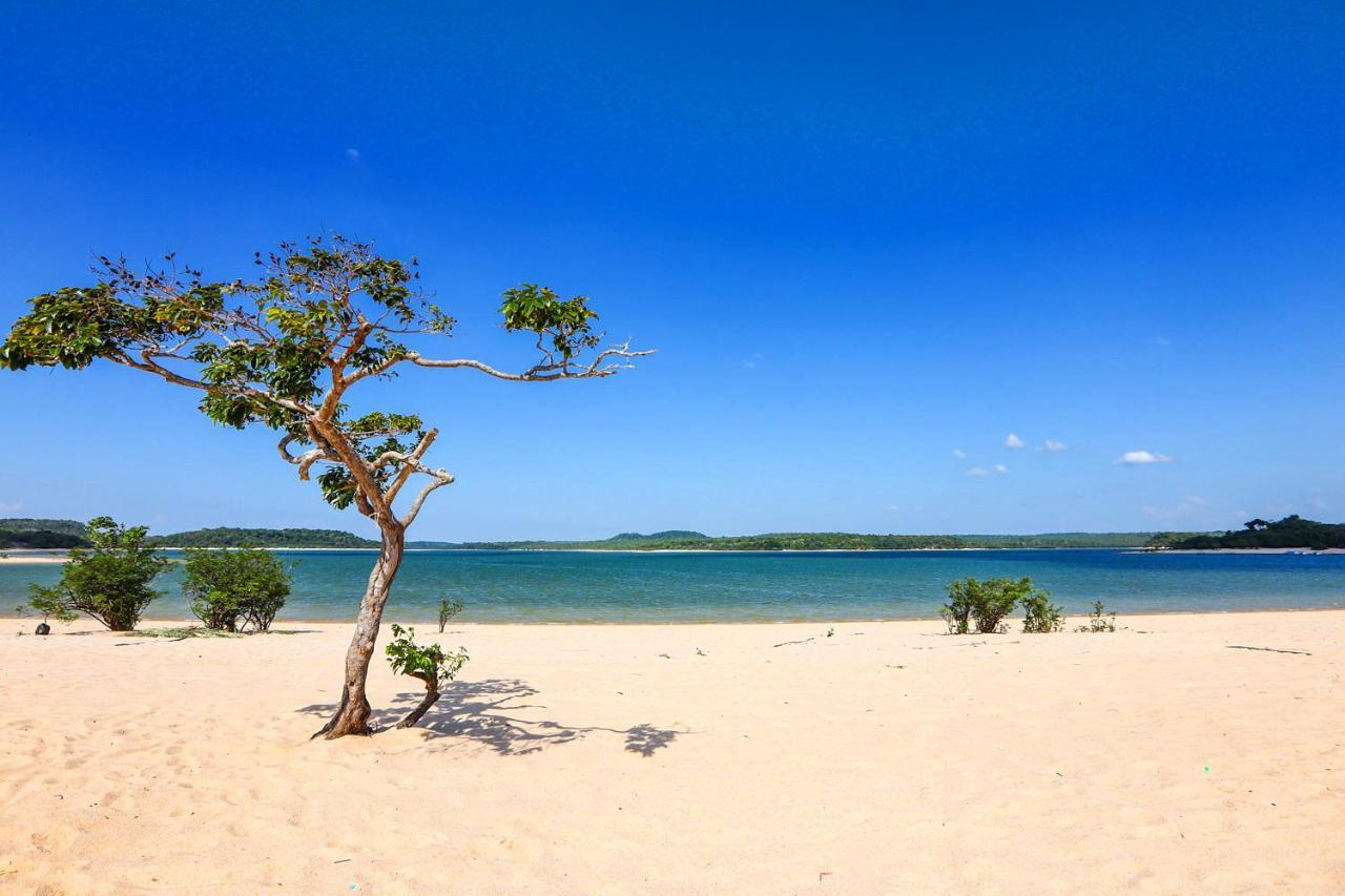 Casa Da Arvore, Sonho Na Amazonia, 2Min A Pe Da Praia ألتر دو تشاو المظهر الخارجي الصورة